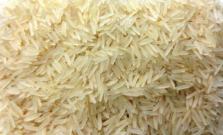 Sugandha Pesticide Residue Free Golden Sella Rice